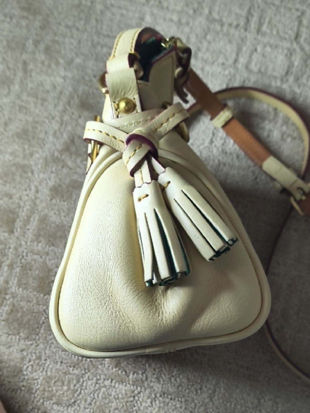 Dooney & Bourke Mini Zip Florentine Crossbody In Bone - Picture 5 of 12